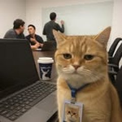 Profile photo of Bow Bow