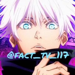 Profile photo of FACT TV