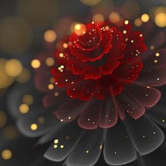 Profile photo of Video_Dat_Net