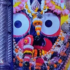Profile photo of Sumit Satapathy