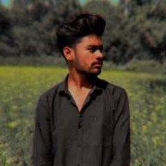 Profile photo of Rajan kashyap