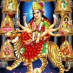 Profile photo of Himanshi Chouhan